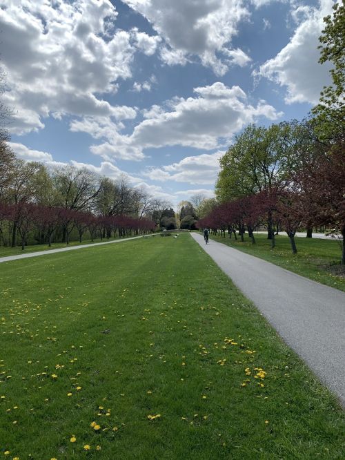 A wide park path lined with trees and blooming flowers under a partly cloudy sky.