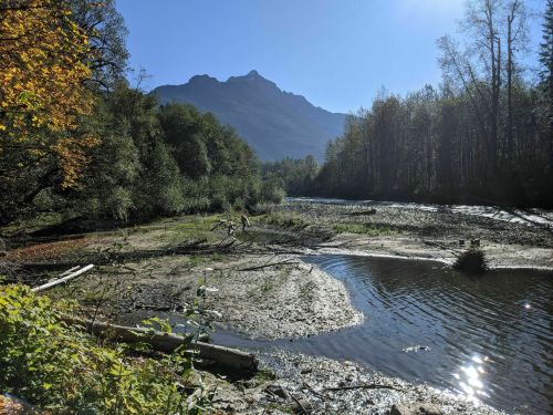 A serene landscape featuring a riverbank, mountains in the background, and trees with autumn foliage under a clear blue sky.