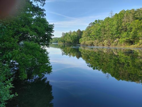 A serene lake surrounded by lush green trees, reflecting the clear blue sky and foliage on the water's surface.