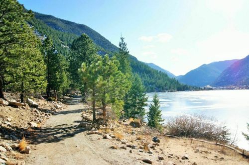 A scenic lakeside path lined with trees, surrounded by mountains under a clear blue sky.