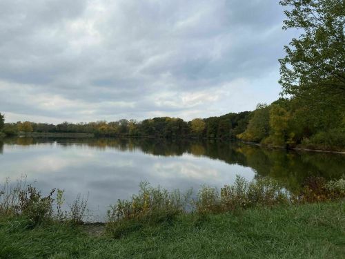 A tranquil lake surrounded by trees with autumn foliage under a cloudy sky. Reflections shimmer on the water's surface.