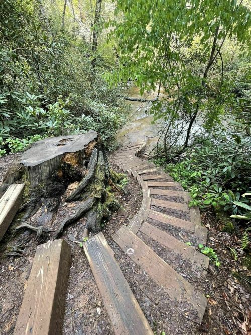 Winding wooden stairs lead down through lush greenery to a stream, with a tree stump nearby.