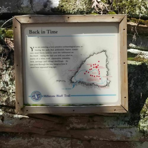 Sign titled "Back in Time" discussing archaeological significance of the Millstone Bluff Trail area and Native American history.