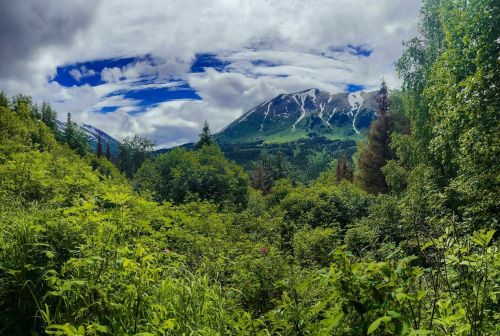 Lush green landscape with mountains in the background under a partly cloudy sky.