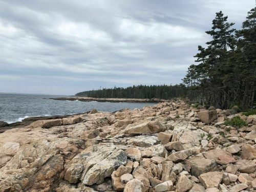 Rocky shoreline with scattered boulders, trees in the background, and a cloudy sky over the ocean.