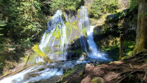 A serene waterfall cascades over moss-covered rocks, surrounded by lush greenery and a tranquil stream below.