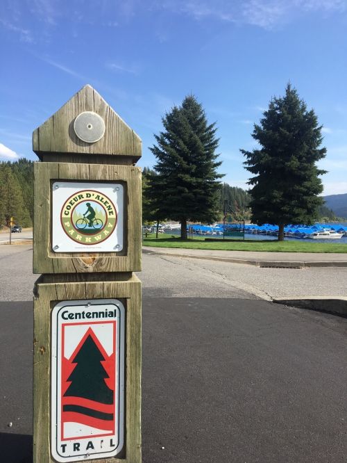 Signpost for the Centennial Trail in Coeur d'Alene, with trees and a marina in the background under a clear blue sky.
