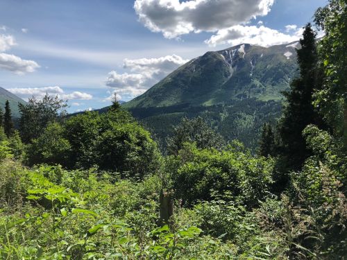 Lush green landscape with mountains in the background under a partly cloudy sky.