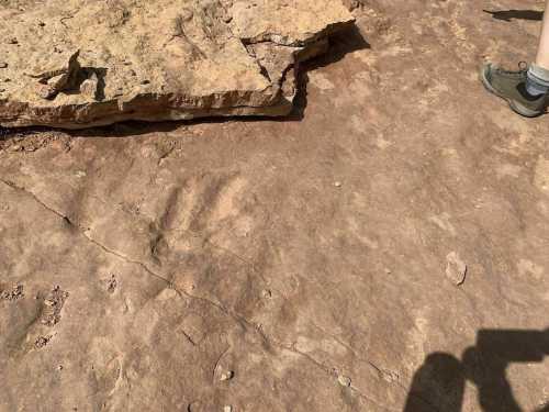 A rocky surface with a large stone slab and a person's foot in the corner, showing natural textures and shadows.