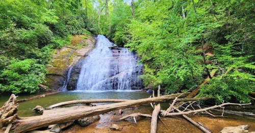 A serene waterfall cascades over rocks, surrounded by lush green trees and fallen logs in a tranquil forest setting.