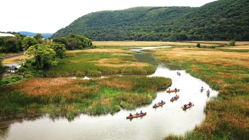 A scenic river winding through lush greenery, with kayakers paddling amidst tall grasses and hills in the background.