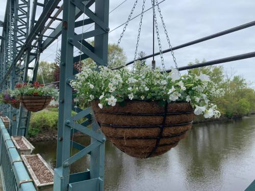 Hanging flower baskets with white and red blooms on a bridge, overlooking a calm river and green trees.