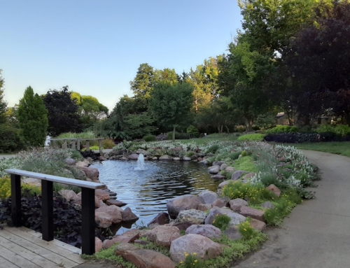 A serene garden scene featuring a pond surrounded by rocks, flowers, and lush greenery under a clear blue sky.