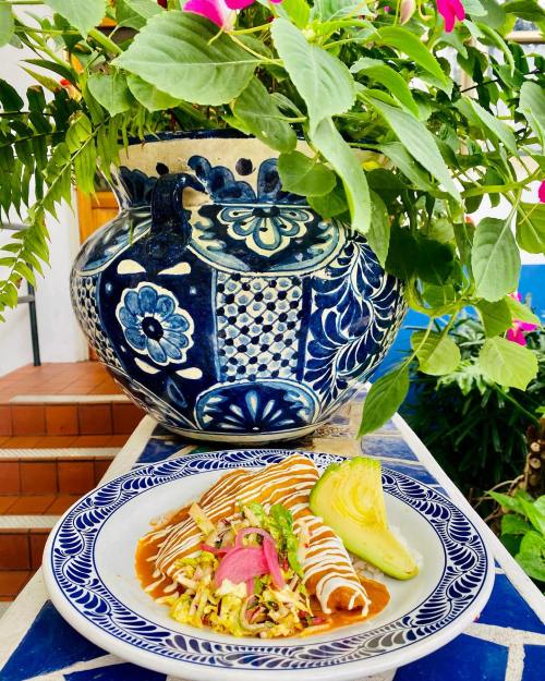 A colorful plate of enchiladas topped with sauce, garnished with avocado and herbs, beside a decorative blue pot and plants.