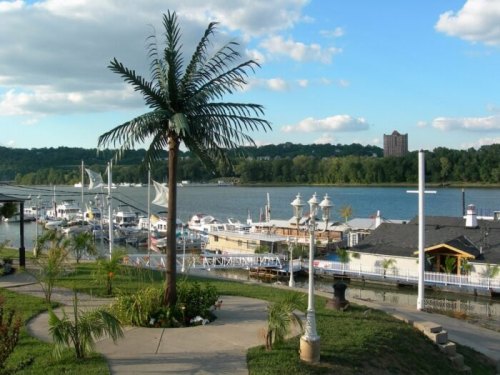 A scenic view of a marina with boats, a palm tree, and lush greenery under a blue sky with fluffy clouds.