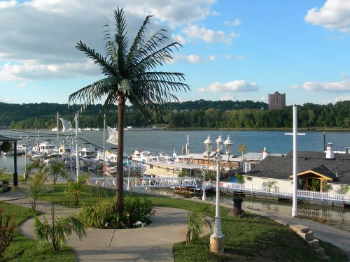 A scenic view of a marina with boats, a palm tree, and a river under a blue sky with fluffy clouds.
