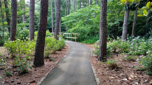 A winding path through a lush garden, flanked by trees and flowering plants, leading to a wooden bridge.