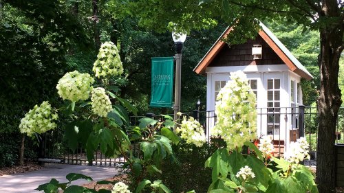 A small wooden building surrounded by green trees and white flowers, with a banner visible nearby.