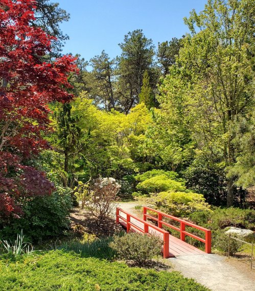 A serene garden scene featuring vibrant green trees, a red bridge, and colorful foliage under a clear blue sky.