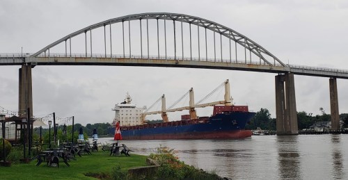 A large cargo ship passes under a bridge, with green grass and seating visible in the foreground along the riverbank.
