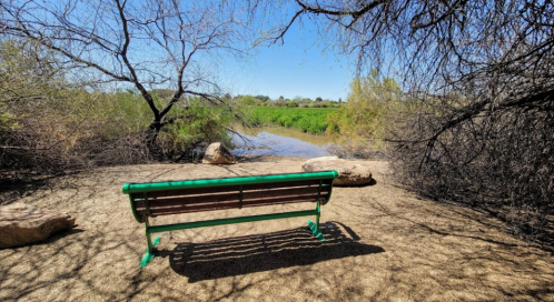 A green bench facing a serene water view, surrounded by trees and rocks under a clear blue sky.