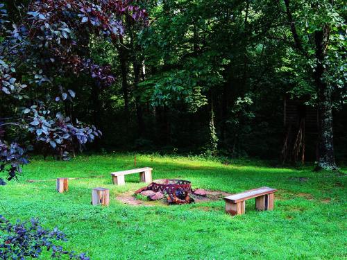 A circular fire pit surrounded by wooden benches in a lush green forest setting.