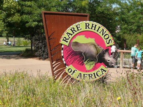Sign for "Rare Rhinos of Africa" with a colorful illustration of a rhino, set in a park with people in the background.