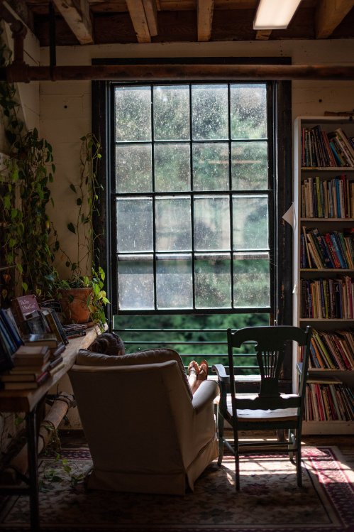 A cozy reading nook with a chair by a large window, surrounded by bookshelves and plants. Sunlight filters through.
