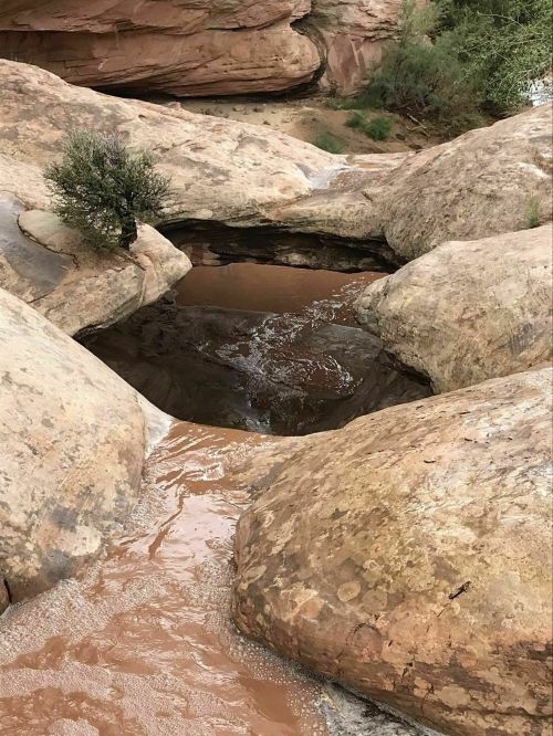 A natural rock formation with a small pool of water surrounded by smooth, weathered stones and sparse vegetation.