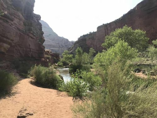 A sandy path alongside a river, surrounded by lush greenery and rocky cliffs under a bright sky.