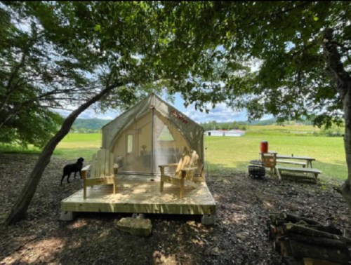 A glamping tent on a wooden deck surrounded by trees, with two chairs and a dog nearby, set in a green landscape.