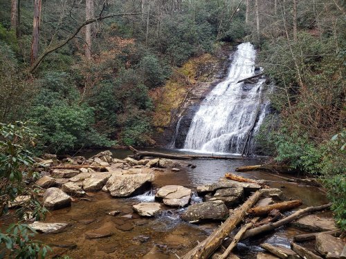 A serene waterfall cascades over rocks, surrounded by lush greenery and trees in a tranquil forest setting.