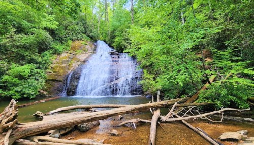 A serene waterfall cascades over rocks into a clear pool, surrounded by lush green trees and fallen logs.