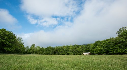 A serene landscape featuring a grassy field, a small house, and lush green trees under a partly cloudy sky.