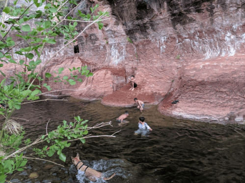 A group of people and dogs play in a shallow stream surrounded by red rock formations and greenery.