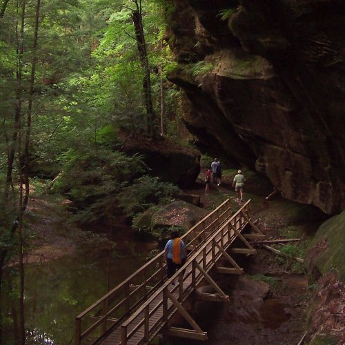 A wooden bridge leads through a lush green forest with rocky cliffs and a stream in the background.