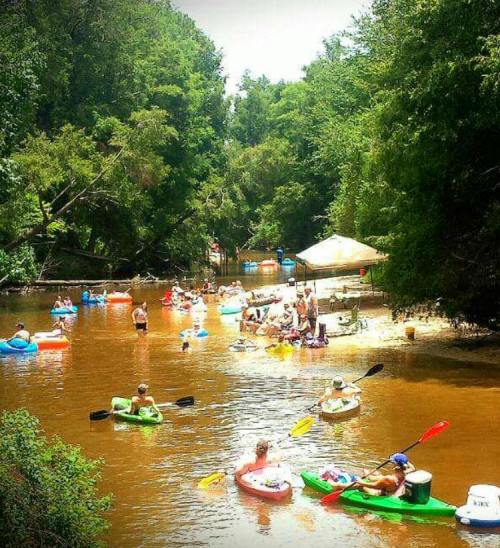 People kayaking and relaxing by a river surrounded by lush greenery on a sunny day.
