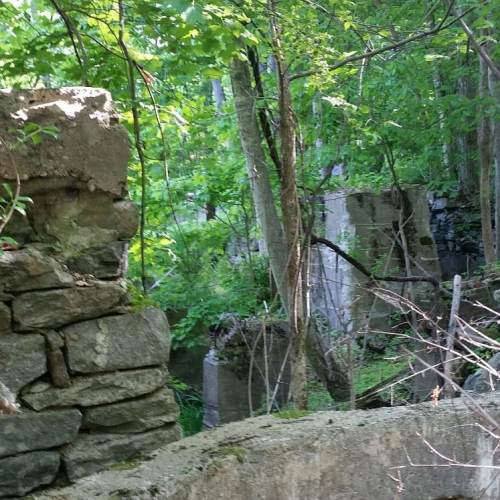 Overgrown ruins surrounded by dense greenery and trees, with remnants of stone walls partially visible.