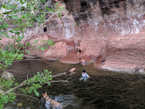 A group of children and a dog play in a shallow stream surrounded by rocky cliffs and greenery.