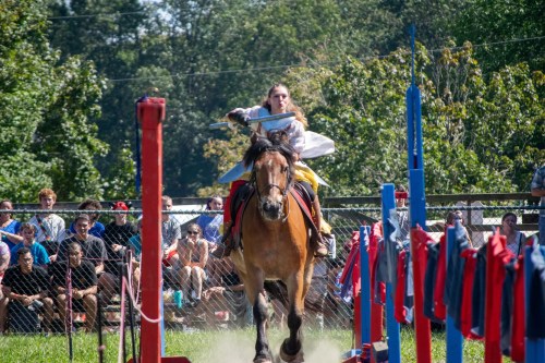 A rider in medieval attire charges on horseback through a colorful obstacle course, with spectators watching in the background.