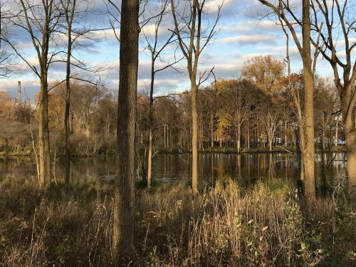 A serene landscape featuring a calm lake surrounded by trees with autumn foliage under a cloudy sky.
