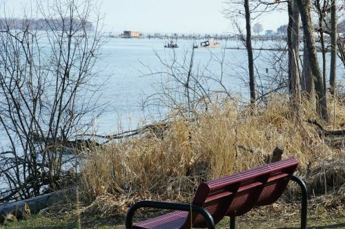 A red bench overlooks a calm lake, surrounded by dry grass and bare trees, with boats in the distance.