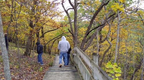 Two people walk down a wooden path surrounded by trees with vibrant autumn leaves.