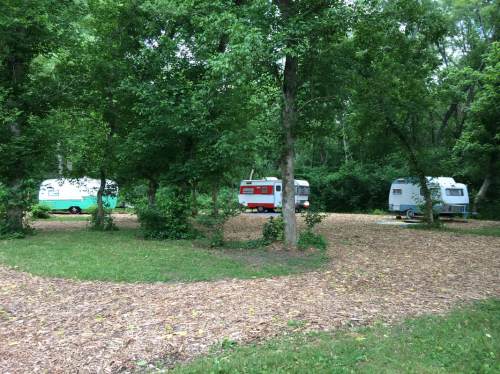 Three vintage trailers are parked in a wooded area, surrounded by trees and a path made of wood chips.