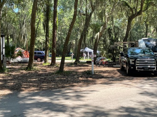 A campsite with tents, parked vehicles, and bicycles surrounded by trees and dappled sunlight.