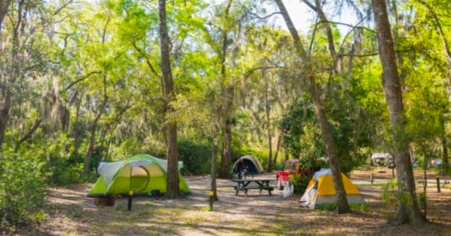 A serene campsite with green and yellow tents surrounded by trees and dappled sunlight. Picnic table visible.