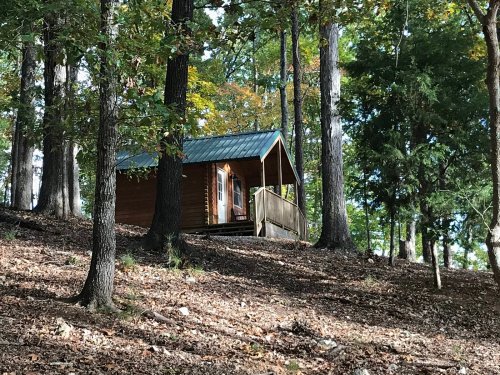 A small wooden cabin with a green metal roof, nestled among trees on a hillside covered in fallen leaves.