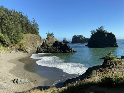 A serene beach scene with rocky cliffs, gentle waves, and lush trees under a clear blue sky.