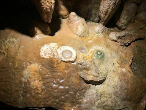 Close-up of textured cave formations with various shapes and colors, illuminated by soft light.