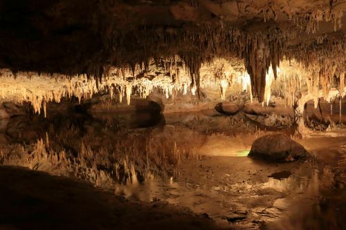 A dimly lit cave with stalactites hanging from the ceiling and a reflective pool on the ground.